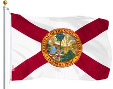 3x5 Florida Flag 3'x5' State FL House Banner Polyester Premium by G128 picture