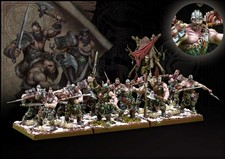 Conquest, Nords - Raiders (PBW4401) picture