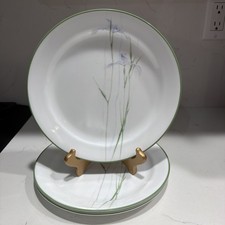 Corelle Corning Shadow Iris 9