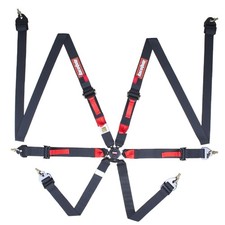 856006RQP RaceQuip FIA 6 Point Camlock Harness Set picture