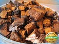 Organic Canadian Dried Chaga Mushroom Chunks 1 Pound Wild Harvested picture