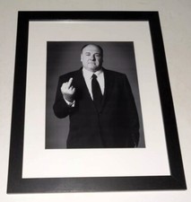 Framed James Gandolfini Tony Soprano 