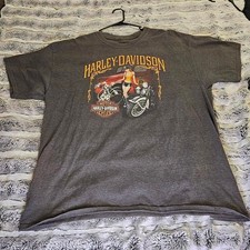 Harley-davidson Men's Grey T-shirt picture