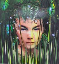 Björk Bachelorette Mark Bell Remix 12
