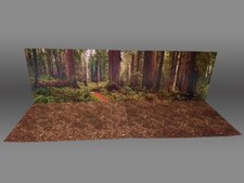 Oversize Endor Forest Backdrop Star Wars TVC Black Series Hasbro Kenner picture