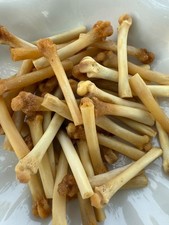 25PC Bobcat Bones for Crafts Real Bobcat Foot Bone Pipe 1.5 Inch Bone Bead picture