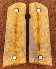 1911 Fullsize Norfolk Island Pine picture