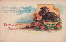 THANKSGIVING GREETINGS TWO TURKEYS PUMPKIN PATCH c1915 POSTCARD 090126 V picture