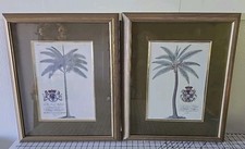 Set Of Two Framed Georg Dionysius Ehret Illustrations Framed Art Frederick Palm picture