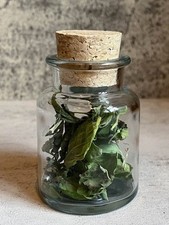 Belladonna | Deadly Nightshade | Atropa Dried Herb Wicca/ Witchcraft 1/4 oz picture
