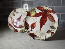 Pier 1 Asheville Salad Plates Set of 2 8.75
