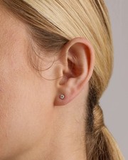 NWT Quince 14K Gold Diamond  Studs  0.5 Cttw picture