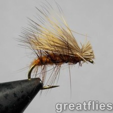 1 dozen (12) - Elk Hair Caddis - Brown picture