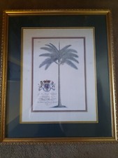 Dionysius Palms Print, Georg Dionysius Ehret, Frederick Prince Of Wales. 26 x 22 picture