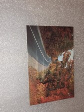 Postcard fall foliage postcard Autumn Greetings Halloween Leaves Scenic Road USA picture