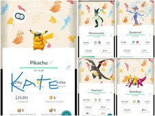 ✨Shiny Pikachu, Charizard, Meowscarada, Skeledirge, Quaquaval ✨Background✨- PTC picture