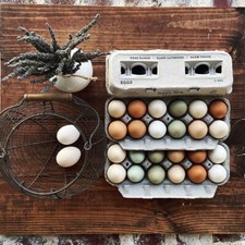 Henlay Blank Stamping Egg Cartons- Adorable Printed Vintage Design - 25, 90, 250 picture