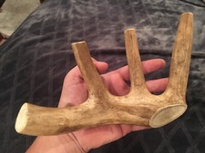 Huge COLOSSAL JUMBO CHEWS Whole Deer Antler Dog Chew SALE  #1 GRADE Massive XXXL picture