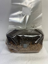 2 pack All in One Mushroom Grow Kit in a Bag (2.5 Lbs) 5lb total picture