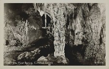 THE FIRST SPRING REAL PHOTO POSTCARD CARLSBAD CAVERN NM NEW MEXICO 1940s RPPC picture