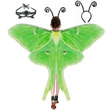 Halloween Butterfly Wings Costume For Womens, Moth Wings Butterfly Cape Adult picture