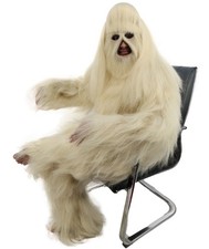 Adult Extreme Hairy Person Costume, Mask & Bundle - Full-Body, Multiple Color picture