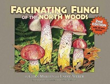 Fascinating Fungi of the North Woods picture