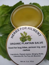   Plantain Broad Leaf Balm /Salve ,insect bites,stings,eczema,Itch 2 oz  picture