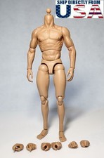 ZC Toys 1/6 Muscular Male Figure Body For 12