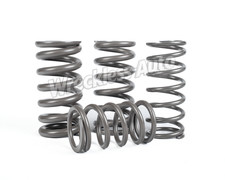 Stance Suspension Linear Coilover Springs - 2.5