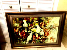 framed  oil canvas painting of  four white cockatoos in jungle   44in by 33 in picture