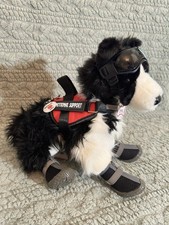 ESSA Chase Border Collie Dog Emotional Support Douglas Dog With All Gear picture