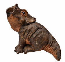 UNIQUE Baby Triceratops Dino SCULPTURE by Mother Of The Dinosaurs- Mariotti 2022 picture
