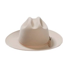 Stetson mens Royal Deluxe Open Road picture