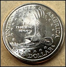 2007 P Sacagawea Dollar Uncirculated US Mint-Free Shipping picture