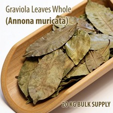 Graviola Whole Leaves 10KG Bulk Annona Muricata | Soursop Commercial Supply picture