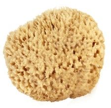 Natural Sea Wool Sponges by Spa Destinations (Choose Size) picture