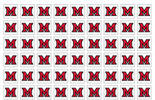 Miami Red Hawks Team Stickers - Multiple Sizes/Glossy/Matte -  picture