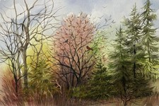8”x12” Original Pamela Wilhelm Watercolor Pines Tree Pink Bushes & Birds picture