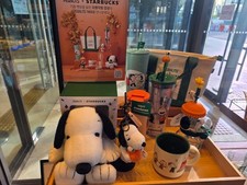 Starbucks korea 2026 Peanuts cold cup mug tumbler glass keyring doll pin set picture