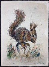 Fritz Rudolf Hug Squirrel Signed Lithograph 244/250 1967 Swiss Wildlife Art picture