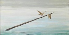 Harold C Wolcott Original Oil Painting Seagull Lobster Buoy Marine Coastal Art picture