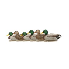 Avian X Topflight Realistic Open Water Mallard Duck Decoys Set of 6 (Multicolor) picture