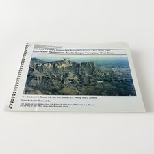 AAPG Field Guide Deep-Water Sandstones Brushy Canyon Formation West Texas B58 picture