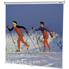 One Pristine DA-LITE 70 x 70  Projector Screen  Mate White, 95+% LIFE LEFT picture