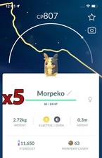 5x Morpeko Pokemon Bundle  Good Chance of Lucky and Good IVs  Go picture