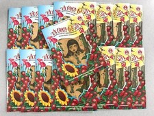 15pack LA CHICA FRESITA Fresa/Strawberry Car Air Freshener Aromatizante Mexico picture