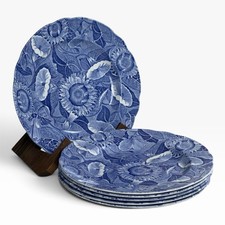 Set of 6 Vintage Spode Blue Room Sunflower Transferware 9 Inch England Plates picture