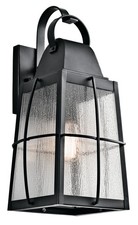 Kichler 49554BKT Tolerand 1-Light 20.25