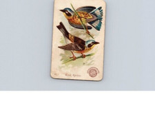 1880s-90s Arm & Hammer Beautiful Birds Wood Warbler No 42 picture